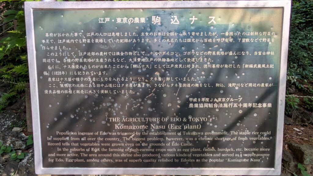 駒込ナスについて紹介する案内板